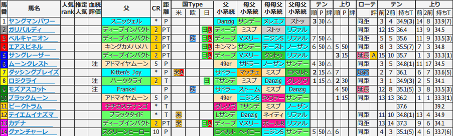 マイラーズc 血統ビームオフィシャルサイト 亀谷敬正