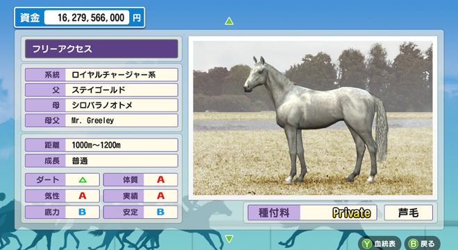 第31回公式BC 牝馬三冠 総合 上位入賞者認定証| 『ダービー