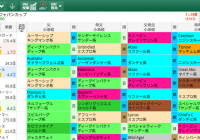 【無料公開】ジャパンC / 亀谷サロン限定公開中のスマート出馬表・次期バージョン