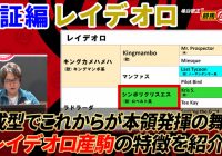 【検証編 レイデオロ】ポテンシャルが低いわけではない！ 本領発揮はこれから！/ 亀谷敬正の競馬血統辞典