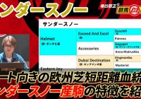 【サンダースノー】芝？ダート？牡馬？牝馬？狙うならどっち？/ 亀谷敬正の競馬血統辞典