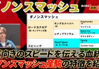 【ダノンスマッシュ】 母系の特徴を引き出すロードカナロアの正統派後継種牡馬/ 亀谷敬正の競馬血統辞典