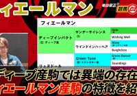 【フィエールマン】 ディープインパクト後継種牡馬では異端の存在！/ 亀谷敬正の競馬血統辞典