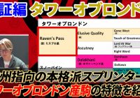 【検証編 タワーオブロンドン】 欧州指向の本格的なスプリンター！ これからがさらに狙い目！/ 亀谷敬正の競馬血統辞典