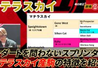 【マテラスカイ】 残された3世代でもポテンシャルに期待大の種牡馬！/ 亀谷敬正の競馬血統辞典