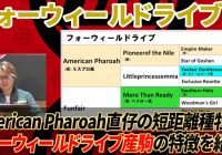 【フォーウィールドライブ】 2年目の今年から成績急上昇！美味しい条件を先取り！/ 亀谷敬正の競馬血統辞典