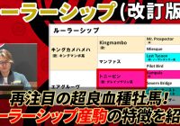 【ルーラーシップ/改訂版】 パフォーマンスUPの要素が満載！ これからがまさに旬！/ 亀谷敬正の競馬血統辞典