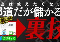 電子書籍『競馬ファンの99％が知らないオッズの真実』が発売