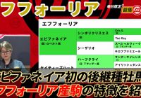 【エフフォーリア】新馬戦から産駒が走りまくり！ エピファネイア初の後継種牡馬！/ 亀谷敬正の競馬血統辞典